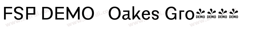 FSP DEMO   Oakes Gro字体转换